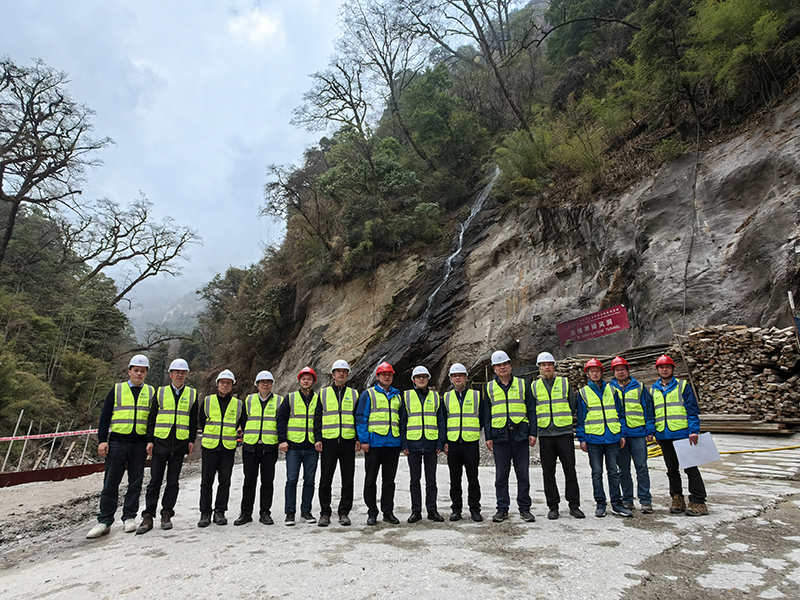 三金考拉項目考察現場 (1).jpg